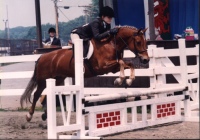 Aspen3small.jpg (20308 bytes)