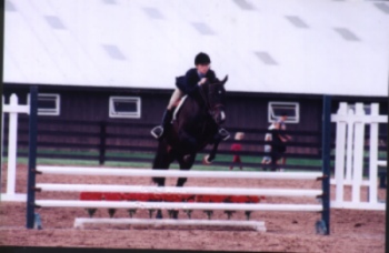 Tilly.jpg (31645 bytes)