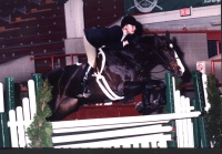 allysmall2000.jpg (19695 bytes)