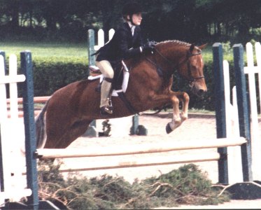 ASPEN1.JPG (31377 bytes)