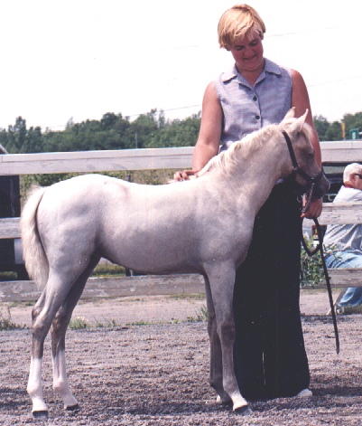 mollie99a.jpg (95144 bytes)