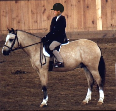 reggienew.jpg (78054 bytes)